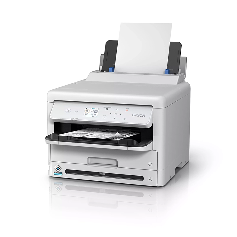 C5399DW side view